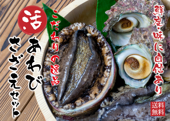 あわびさざえセット