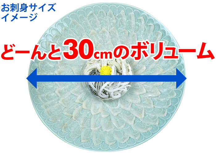 とらふぐ刺身尺皿30センチ