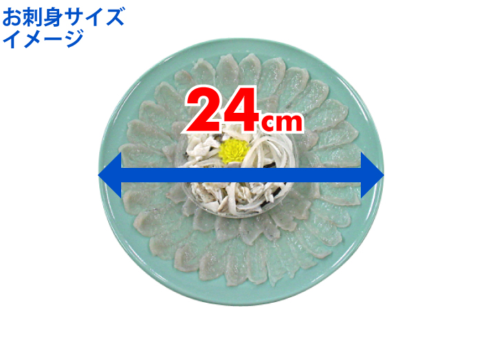 とらふぐ刺身24センチ