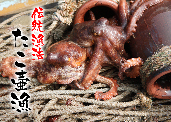 北九州が誇る自慢の逸品関門海峡たこ