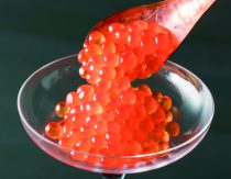 【送料無料】いくら醤油漬け 500g