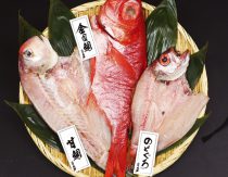 【送料無料】高級干物詰め合せセット「福」