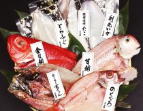 【送料無料】高級干物詰め合せセット「天」