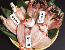 【送料無料】干物詰め合せセット「雅」