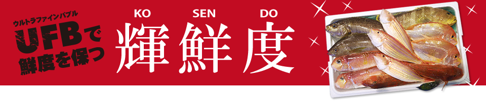 UFBで鮮魚セットの鮮度を保つ