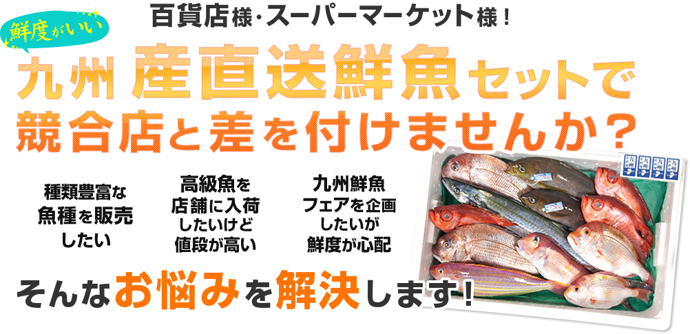 九州産直送鮮魚セットで競合店と差を付けませんか？